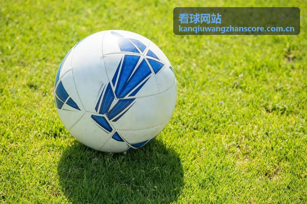 看球网站转会新闻动态